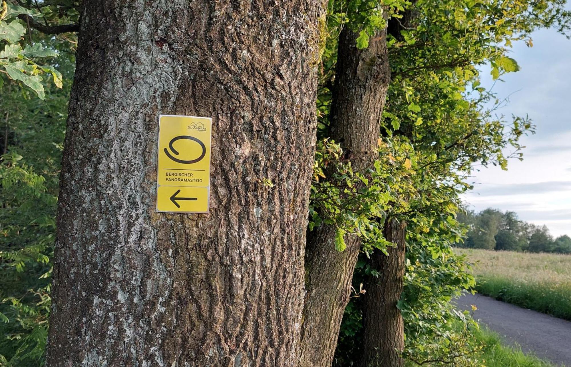 Ferienwohnung Waldbroel - Nahe Naturerlebnispark ヴァルトブレール エクステリア 写真
